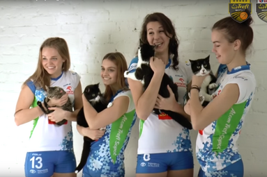 Sportowcy Trefla dla bezdomnych kotów