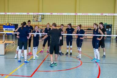 Impelki wybrały swoje numery