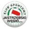 JASTRZĘBSKI WĘGIEL SSA
