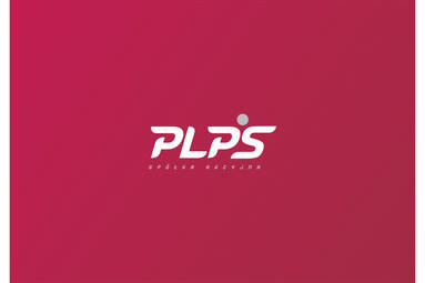 Oświadczenie Przewodniczącego Rady Nadzorczej PLPS S.A.