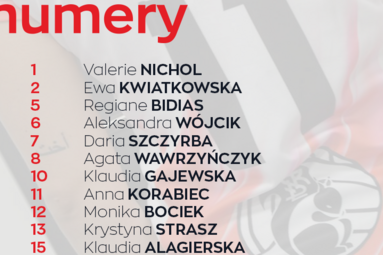 Numery na koszulkach Łódzkich Wiewiór