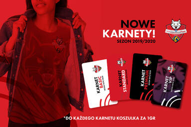 Karnety na mecze Developres SkyRes Rzeszów