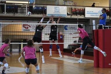 Kolejna wygrana Developresu