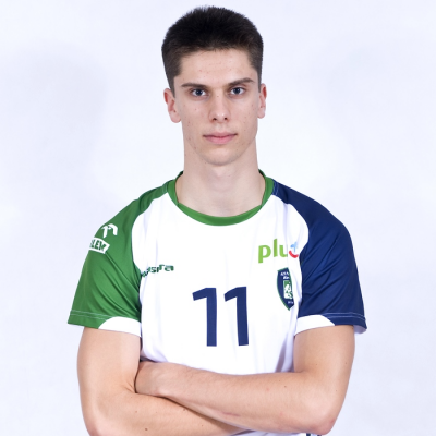Aleksander Śliwka 