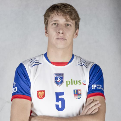 Arvydas Miselkis 