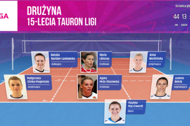 Wybierz własną drużynę 15-lecia TAURON Ligi