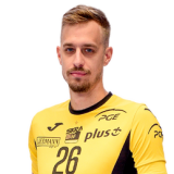 Mihajlo Mitić