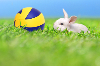 Wielkanocne życzenia