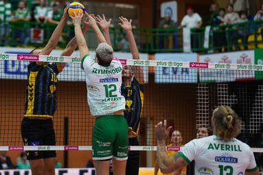 PlusLiga pełna debiutantów: od mistrza olimpijskiego do mistrzów świata