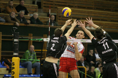 Domex Tytan AZS Częstochowa - Trefl Gdańsk