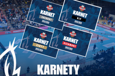 Karnety na mecze rzeszowskich Rysic już dostępne