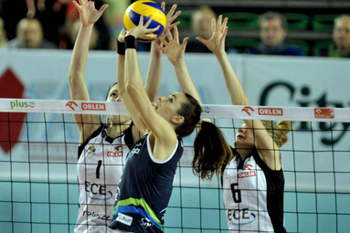 Mistrz Polski gra w Bydgoszczy