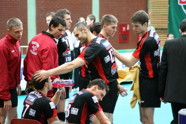 Trefl - Domex 1:3