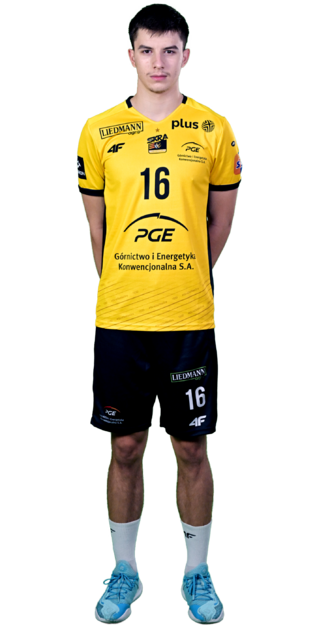 David Dinculescu David Dinculescu