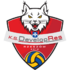 KS DevelopRes Rzeszów