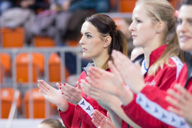 BKS Aluprof Bielsko-Biała - Developres SkyRes Rzeszów