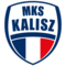 NETLAND MKS Kalisz