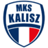NETLAND MKS Kalisz