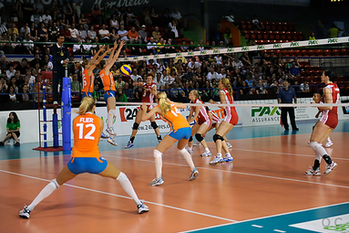 Polska - Holandia 3:0