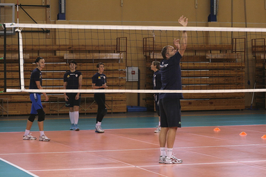 Organika podnosi poprzeczkę