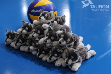 Wilczki dla siatkarek Tauronu MKS