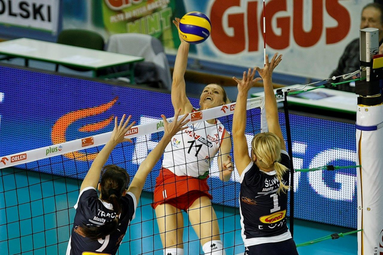 PGNiG Nafta - Beef Master Budowlani 1:3