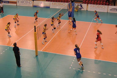 Mistrzostwa EEVZA w Krośnie